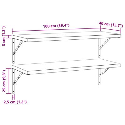 vidaXL Stenske police 2 kosa 100x40 cm črna nerjaveče jeklo