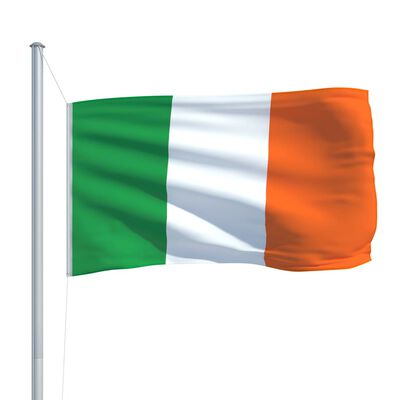 vidaXL Irska zastava 90x150 cm