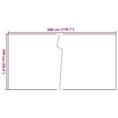 vidaXL Balkonsko platno antracitno 300x100 cm poli ratan