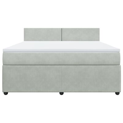 vidaXL Box spring postelja z vzmetnico svetlo siva 180x200 cm žamet