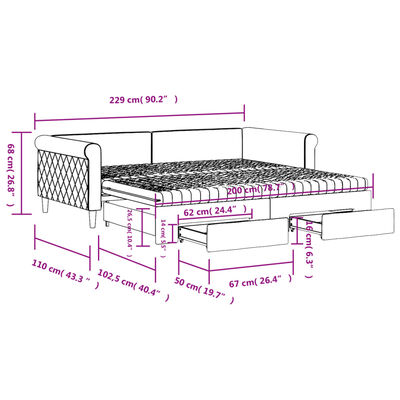 vidaXL Izvlečna dnevna postelja s predali svetlo siva 100x200 cm žamet