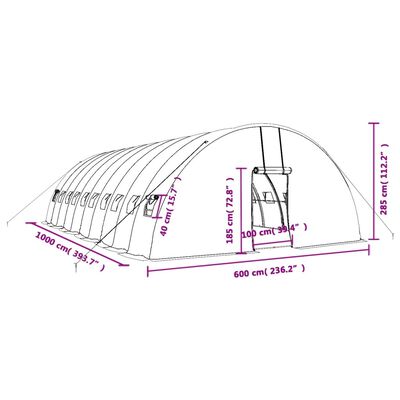 vidaXL Rastlinjak z jeklenim ogrodjem zelen 60 m² 10x6x2,85 m