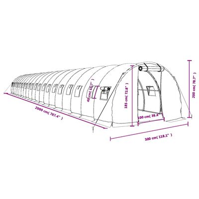 vidaXL Rastlinjak z jeklenim okvirjem bel 60 m² 20x3x2 m