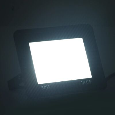 vidaXL LED reflektor 50 W hladno bel