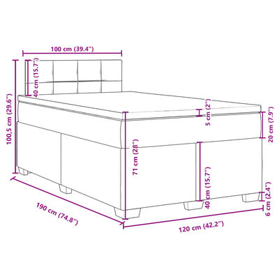 vidaXL Box spring postelja z vzmetnico svetlo siva 120x190 cm žamet