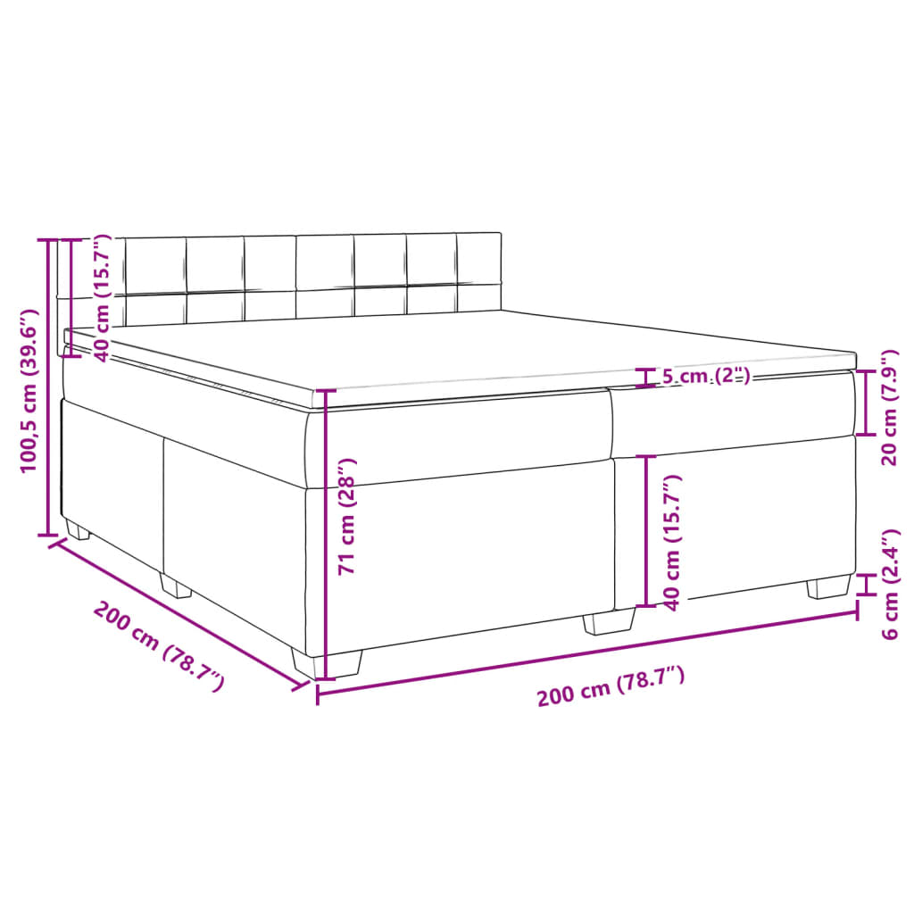 vidaXL Box spring postelja z vzmetnico svetlo siva 200x200 cm žamet