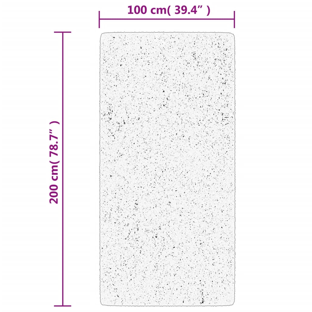 vidaXL Košata preproga PAMPLONA moderna črna in krem 100x200 cm