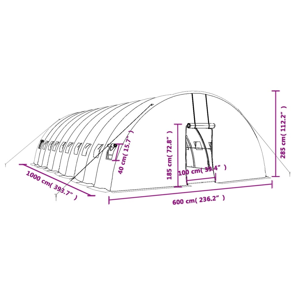 vidaXL Rastlinjak z jeklenim ogrodjem zelen 60 m² 10x6x2,85 m